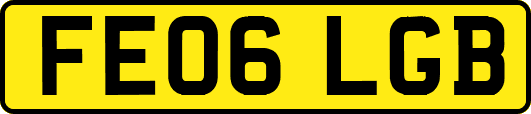 FE06LGB