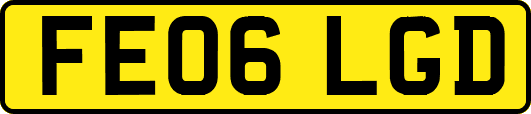 FE06LGD