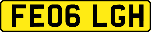 FE06LGH