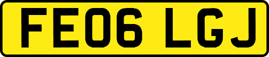 FE06LGJ