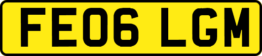 FE06LGM