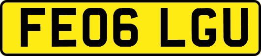 FE06LGU