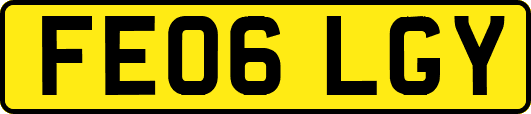 FE06LGY