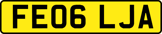 FE06LJA