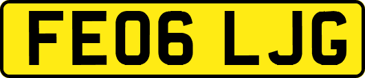 FE06LJG