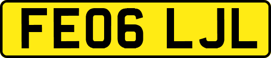 FE06LJL