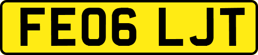 FE06LJT
