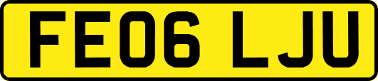 FE06LJU