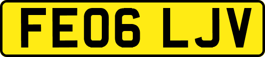 FE06LJV