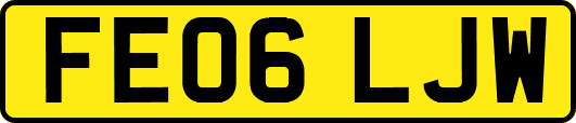 FE06LJW