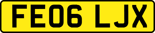 FE06LJX