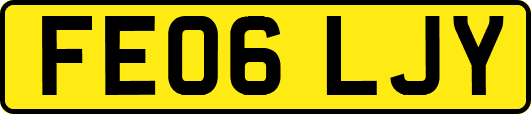 FE06LJY