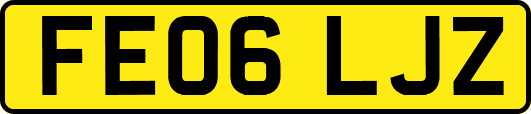 FE06LJZ