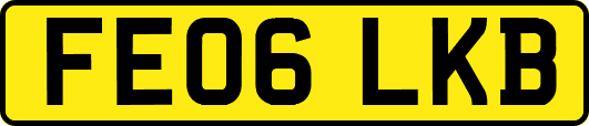 FE06LKB