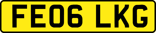 FE06LKG