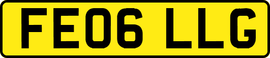 FE06LLG