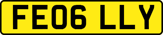 FE06LLY