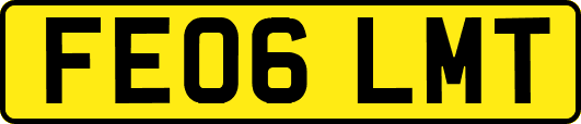 FE06LMT