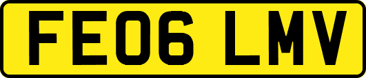 FE06LMV
