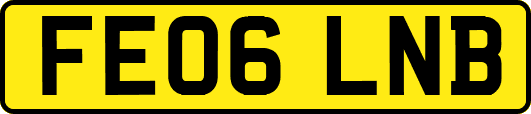 FE06LNB