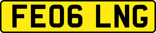 FE06LNG