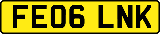 FE06LNK