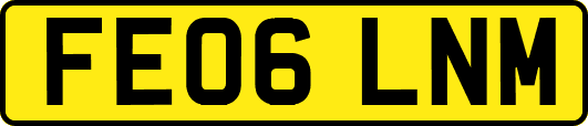 FE06LNM