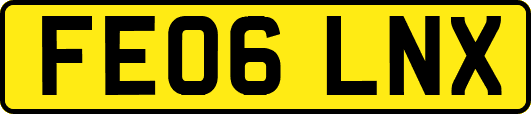 FE06LNX