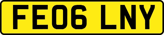 FE06LNY
