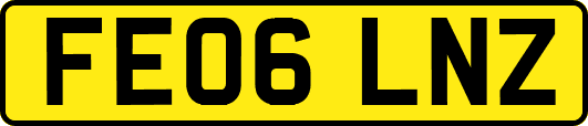 FE06LNZ