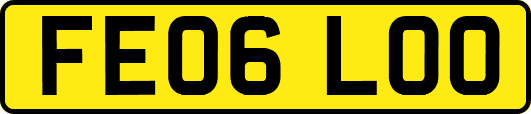 FE06LOO