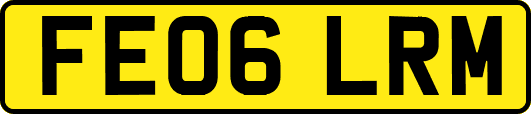 FE06LRM