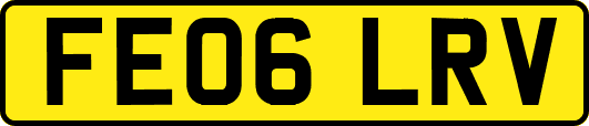 FE06LRV