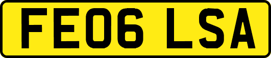 FE06LSA