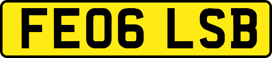 FE06LSB