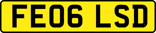 FE06LSD
