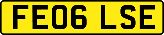 FE06LSE