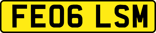 FE06LSM