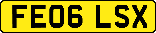 FE06LSX
