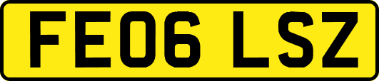 FE06LSZ