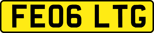 FE06LTG