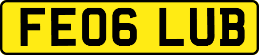 FE06LUB