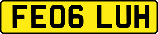FE06LUH
