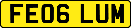 FE06LUM