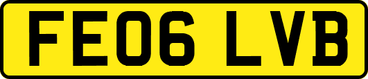 FE06LVB