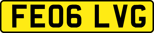 FE06LVG