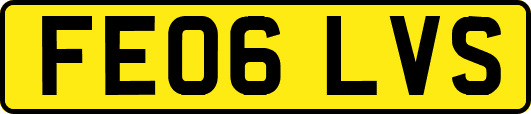 FE06LVS