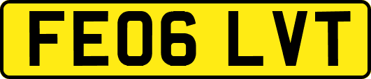 FE06LVT
