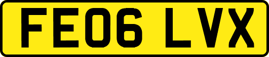 FE06LVX