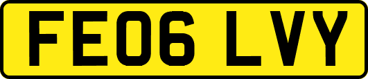 FE06LVY
